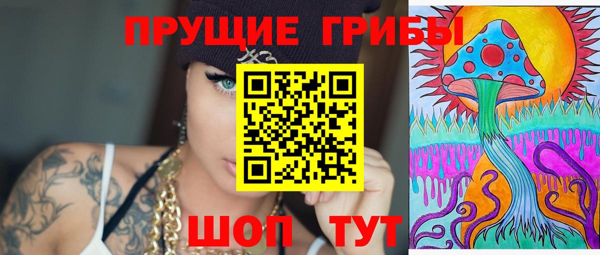Оренбург  Псилоцибиновые грибы MAGIC MUSHROOMS  Вход с VPN 
